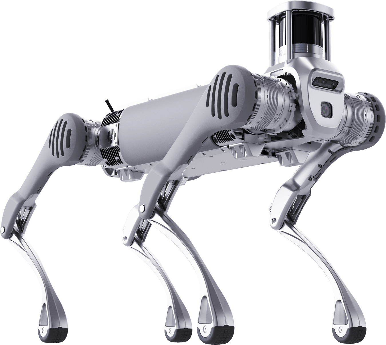 Inicio robot5
